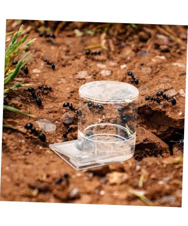 COSMEVIVI Pet Water Feeder Ant Keeping Ants Food Dispenser Ants Feeding Device Ant Water Drinking Cup Ant Nest Water Cup Ant Nest Entrance Feeder Ant Waterer Cup Ant Keeper Tools Ant Bowl - Buy Online on GoSupps.com