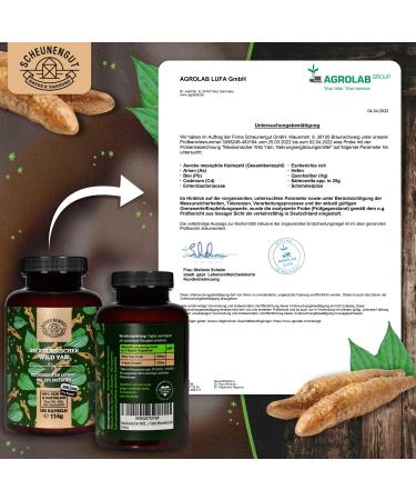 Buy High Dose Yams Root Capsules - 1000mg (10:1 Extract) - 180 Caps with 20% Diosgenin | International Shipping - Scheunengut  - Buy Online on GoSupps.com