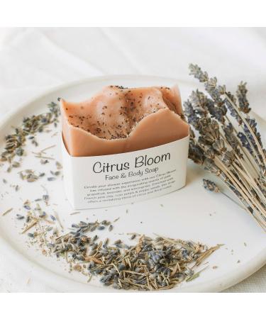 Handmade Organic Vegan Soap Bars | Natural Floral Scent with Essential Oils | Set of 2 for Face & Body - Buy Online on GoSupps.com