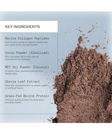 Amy Myers MD Paleo Protein Powder - Double Chocolate 20 Servings - Collagen-Based Gut Function Support - Gluten-Free & Non-Dairy Protein Supplement Double Chocolate 1.38 Pound (Pack of 1) - Buy Online on GoSupps.com