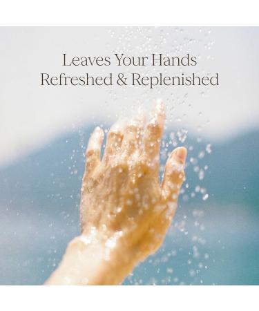 RAW SUGAR Watermelon Mint Refresh Hand Wash 12 Fl Oz (Pack of 4) Liquid Hand Soap for Kitchen or Bathroom Cleanses & Refreshes Hands Vegan Formulated without SLS/SLES & Parabens - Buy Online on GoSupps.com