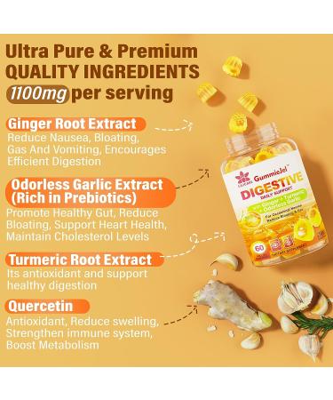 Sugar Free Ginger & Garlic Nausea Relief Gummies - Digestive Support with Turmeric, Quercetin, Vitamin D3 & C for Occasional Bloating & Gas - Buy Online on GoSupps.com