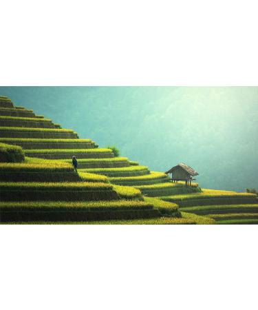 Dethlefsen Balk temando 1 kg veggies red bosh tea mixture white chocolate pistache pipitache flavored flavored aromatized - Buy Online on GoSupps.com