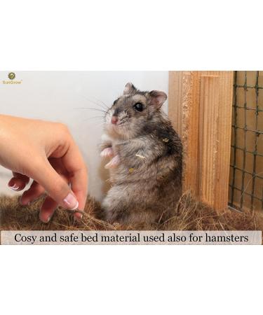 SunGrow Coconut Husk Fiber Bird Nesting Material 3 oz - Ideal for Mourning and Diamond Doves, Hamsters, Gerbils, Chinchillas - Pet Cage and Small Animal Bedding - Buy Online on GoSupps.com