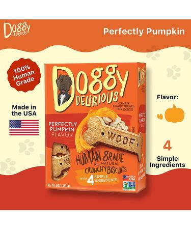Doggy Delirious All-Natural Crunchy Dog Treats - 100% Human-Grade Pumpkin Snacks for All Breeds & Sizes - 16 Oz - Buy Online on GoSupps.com