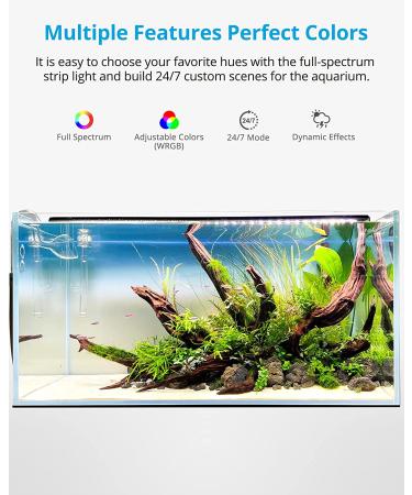 NICREW RGB+W 24/7 LED Aquarium Light | Full Spectrum Planted Fish Tank Light with Remote | 17W, 18-24 Inches - Buy Online on GoSupps.com