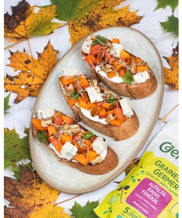 GAG ALFA RADISH FENNEL 150G - - Buy Online on GoSupps.com