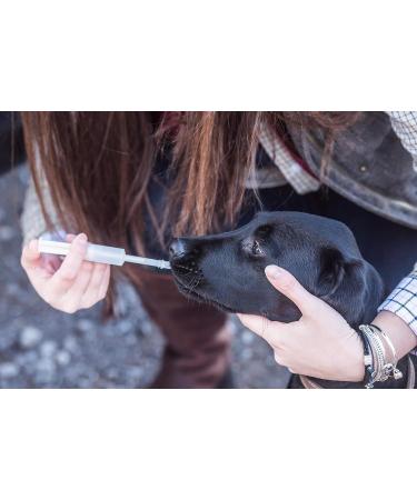 Mikki Dog Puppy Cat Kitten Mothering Kit Feeding and Medicine Syringe for Young /Unwell Animals Rearing set - Buy Online on GoSupps.com