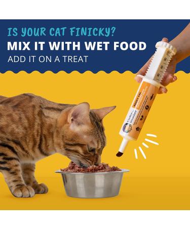 Under the Weather Ready Cal for Cats & Dogs | High Calorie Nutritional Supplement | 9 Vitamins 7 Minerals Fatty Acids | Promotes Weight Gain & Appetite | 100cc - Buy Online on GoSupps.com