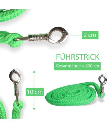Leadership Knit with Panic Hooks for Horses | Stylish Leash & Binding Trick for Pony Donkey & Goat (Light Green) - Buy Online on GoSupps.com
