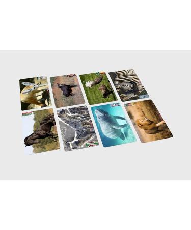 Africard: Authentic African-inspired Handcrafted Card Collection - Buy Online on GoSupps.com