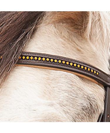 Buy Star WALDHAUSEN Bridle Diamond Brown for Warmbloods | Premium Quality Equestrian Gear Worldwide Shipping - Buy Online on GoSupps.com