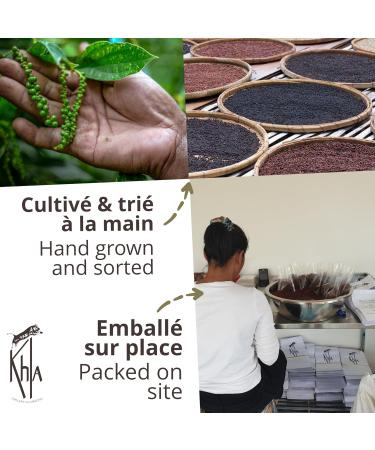 Khla - Fresh Green Pepper from Kampot Certified Organic 500 g - Organic Peppercorn Bag - Grand Cru Aromatic & Vegetable - Direct Producer - Aperitif Sauces - Origin Cambodia - Buy Online on GoSupps.com