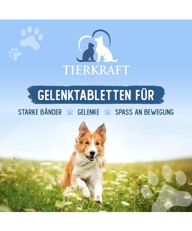 Animal Power Joint Tablets for Dogs - Made in Germany - Green Lipped Mussel & Teufel's Claw - 100 Bone & Joint Protection Tablets - Buy Online on GoSupps.com