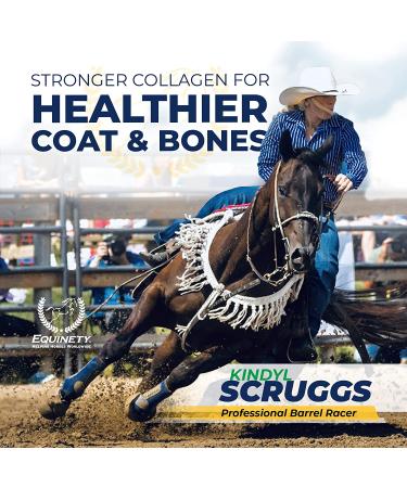 Equinety XL Horse Supplement - Joint & Hoof Support Powder - 21.2 OZ - Buy Online on GoSupps.com