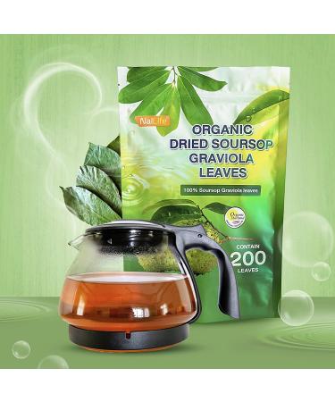 NalLife ORGANIC Soursop Graviola Tea Leaves - 200 Leaves - Pure and Natural - Buy Online on GoSupps.com