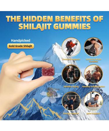 Newrish 1 Shilajit Gummies - 100% Natural Organic Himalayan Source with Ashwagandha & 85+ Trace Minerals No Added Sugar Non-GMO 30-Count for Men and Women - Buy Online on GoSupps.com