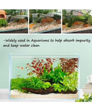 Miukada 3.3 Pounds Coarse Silica Sand  Mini Natural Top Dressing Sand  Mix Plant Soil Cover for Bonsai  Succulent and Cactus|Terrarium  Aquariums and Vase(3.3lb) 3.3lb Silica Sand 0.3-0.5cm 3.3lb Silica Sand 0.3-0.5cm 1 - Buy Online on GoSupps.com