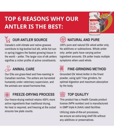 Elk Velvet Antler Capsules 100% Pure Made in Canada (90 caps) (1) - Buy Online on GoSupps.com