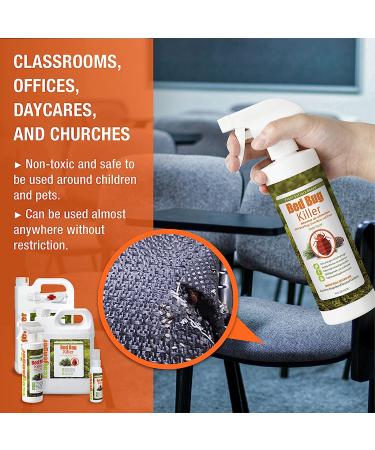 EcoRaider Bed Bug Killer 16 oz - 100% Kill Efficacy for Bedbugs & Mites - Plant Extract Based, Non-Toxic - USDA BIO-Certified - Child & Pet Safe - 16 Fl Oz - Buy Online on GoSupps.com
