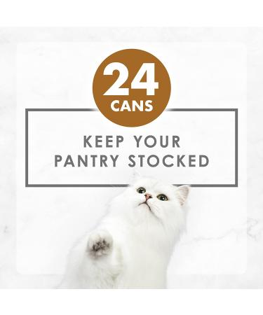 Purina Fancy Feast Gravy Lovers Beef Feast Wet Cat Food - 24 Cans, 3 oz. Each - Buy Online on GoSupps.com