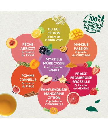Elephant Flavored Infusion Grapefruit Mandarin & Lemon Taste Rainforest Alliance Certified 100% Natural Origin Ingredient - Buy Online on GoSupps.com