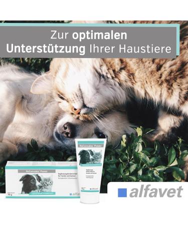 Alfavet ReConvales Power - Dietary Supplement for Dogs & Cats | Fattening Paste for Underweight Pets | 70g Tube - Buy Online on GoSupps.com