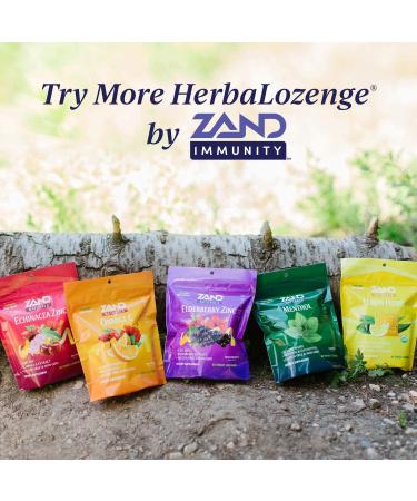 Zand Immunity Cherry Echinacea Zinc Lozenges - 80 Count | Sugar-Free Throat Drops - Buy Online on GoSupps.com