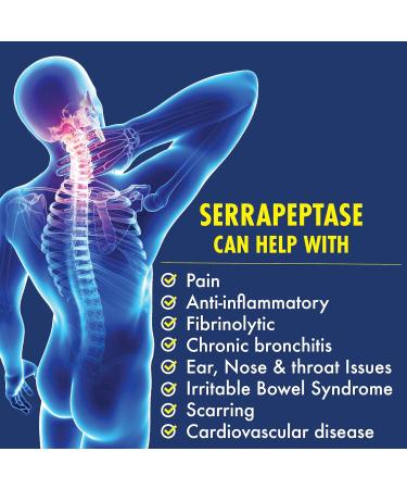180 DR vcaps Promise Serrapeptase (Serratia Peptidase Enzymes) 120 000 SU MAXIMUM POTENCY Natural Pain Relief Made in Canada - Buy Online on GoSupps.com