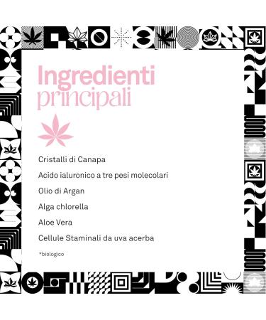  FLOWER BLOOM Flower Bloom Day Face Cream Hemp-Based Day Cream Moisturizes and Protects for Normal and Combination Skin Fast Absorbing Made in Italy 50 ml - Buy Online on GoSupps.com