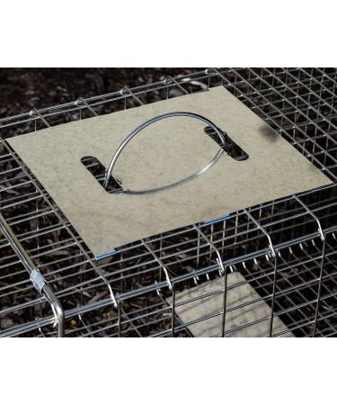 OxGord Live Animal Trap - Humane 2-Door 32 Cage for Raccoon, Opossum, Cat, Rabbit & Rodents - Buy Online on GoSupps.com