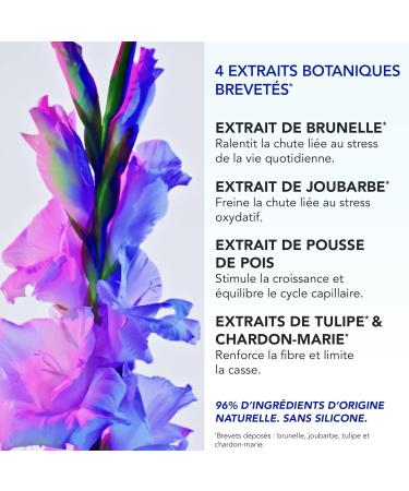 Phyto Paris - Phytophanere - Traitement Anti-Chute de Cheveux R actionnelle - Ampoules Anti-Chute Cheveux d s 4 Applications - Extraits Botaniques de Chardon Marie - Densit et Volume - 3 Mois - Buy Online on GoSupps.com