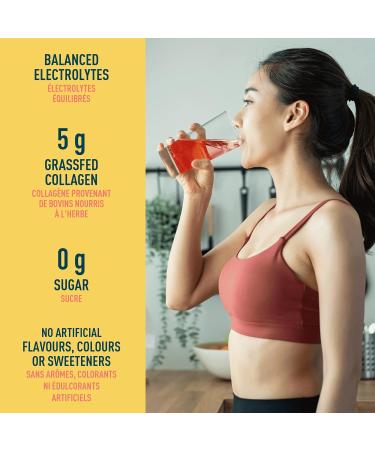 Organika Chocolate Enhanced Collagen 504g & Electrolytes + Enhanced Collagen- Zesty Lemon Berry - Sugar-Free Hydration + Protein 360g Collagen Nutrition Bar + Electrolytes 360 g 504 g (Pack of 1) - Buy Online on GoSupps.com