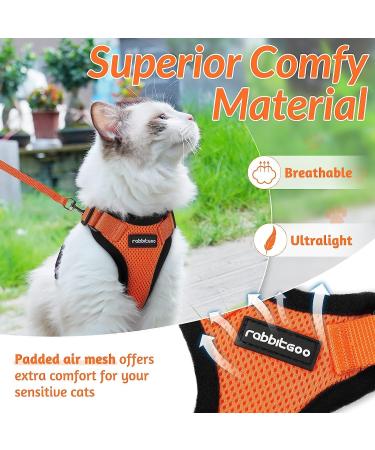 Rabbitgoo Cat Dishes & Adjustable Breakage-Proof Cat Harness Set - Orange M (1 Pack) for International Shipping - Buy Online on GoSupps.com