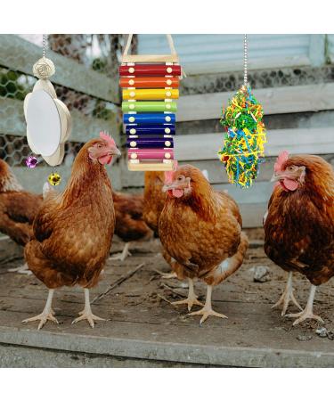 EBaokuup 3PCS Chicken Toys: Xylophone, Mirror, Bell & Foraging Shredder Toys - Best for Chicks, Hens, Parrots - Suspensible & Durable - Buy Online on GoSupps.com