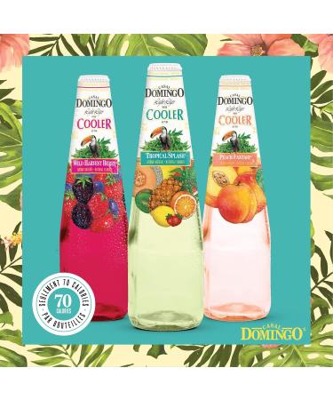 Casal Domingo Peach Fantasy 24 Count Peach Fantasy 341 ml (Pack of 24) - Buy Online on GoSupps.com