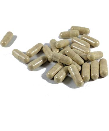 Super Wellness Immune Booster - Quercetin Immunity Support 25 Vitamins Herbs Superfoods Mushrooms - Vitamins C & E - Selenium - Turmeric - Immune Defense Supplement - 60 Capsules - Buy Online on GoSupps.com