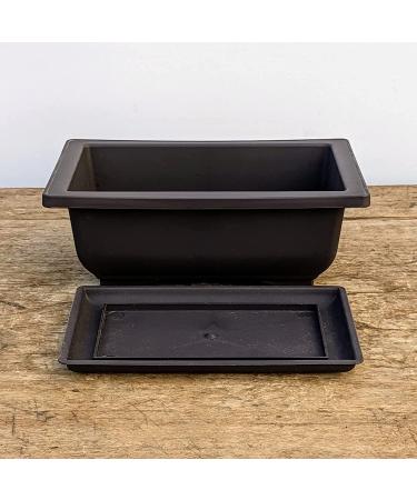 Bonsai Training Pots Humidity Trays 6 Inch - Durable Shatter-Proof Poly-Resin Set of 3 | Large Planters with Built-In Mesh | 3-Pack - Buy Online on GoSupps.com