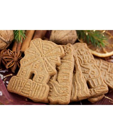 Buy High-Quality Baking Soda (Sodium Bicarbonate) 1000g - Fast International Shipping | E500 Food Grade - Buy Online on GoSupps.com