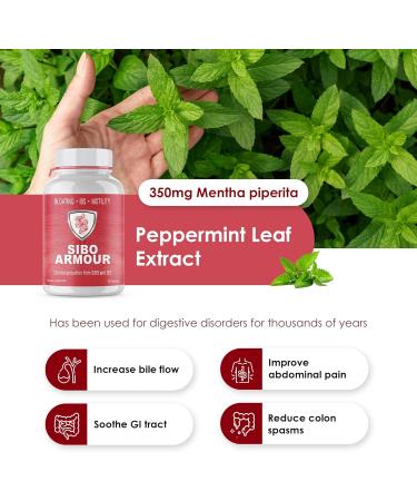 Clinical Grade SIBO & IBS Relief Supplement | Bloating Diarrhea Leaky Gut Treatment | Delayed Release Peppermint for Effective Digestive Health - Buy Online on GoSupps.com