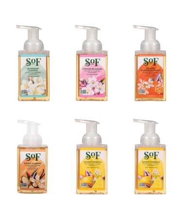 South of France Natural Body Care Foaming Hand Soap 8oz - Foam Hand Wash (Variety Pack A 6 bottles) Variety Pack A 6 bottles
