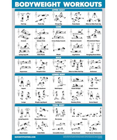 Quickfit Dumbbell Training & Body Weight Exercise Poster - Laminated 2 Diagrams 45.7 x 68.6 cm - Ideal Fitness Routine Guide for Home Workouts - Buy Online on GoSupps.com