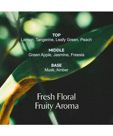 LA MUSE Homme Daily All-in-One Face Moisturizer for Men | 3-in-1 Toner Lotion Essence | Lightweight Hydrating After-Shave Lotion for Oily & Sensitive Skin | Korean Skincare | Original Size - Buy Online on GoSupps.com