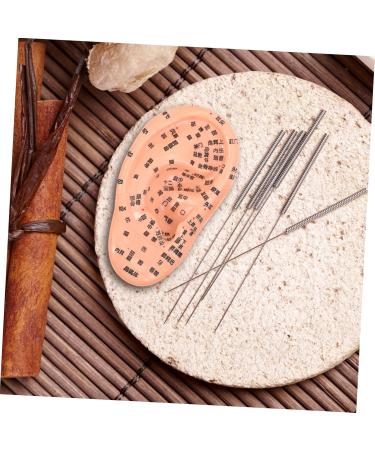 FRCOLOR 1pc Artificial Human Ear Model - Acupuncture & Massage Tool for Ear Acupoint Therapy | Medical PVC Teaching Aid - Buy Online on GoSupps.com