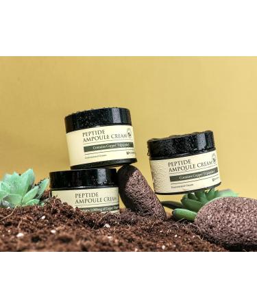 MIZON Peptide Ampoule Cream (50ml) - Korean Skincare for Hydration Wrinkle Care with Amino Acids Elastin & Collagen - International Shipping Available - Buy Online on GoSupps.com