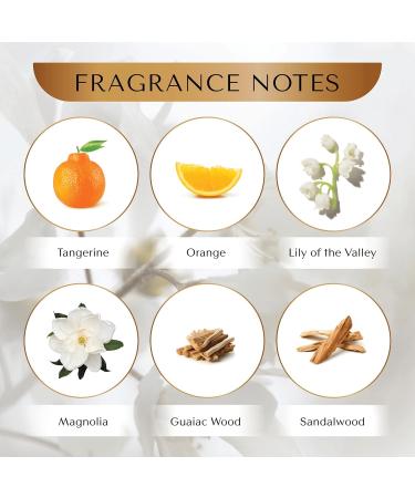 Serenity Inspired By L-V Apogee Eau de Parfum for Women 3.4 fl. oz. - Buy Online on GoSupps.com