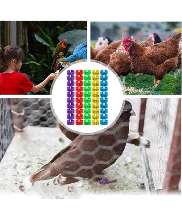 Toseky Chicken Numbered Leg Tags Duck Poultry Leg Labels | Numbered Leg Band Chicken Identification Leg Bands for Chicken Ducks  - Buy Online on GoSupps.com