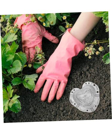 EXCEART 4pcs Heart Strawberry Mold Clear Fruit Vegetable Grow Shaping Melon Accessory Heart-shaped - Buy Online on GoSupps.com