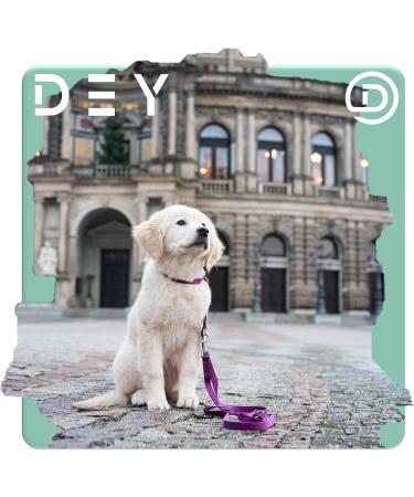 Dey Premium Nylon Dog Collar - Adjustable for Small & Large Dogs | Multiple Colors & Sizes | Dog Cat & Puppy Neck Bands | Lila L - 2.5 x 45-68 cm Purple - Buy Online on GoSupps.com