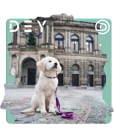 Premium 2m Nylon Dog Leash | 3-Way Adjustable | For Small Medium & Large Dogs | Available in Multiple Colors | Doubleein Dog Cat Puppy Edition - Buy Online on GoSupps.com